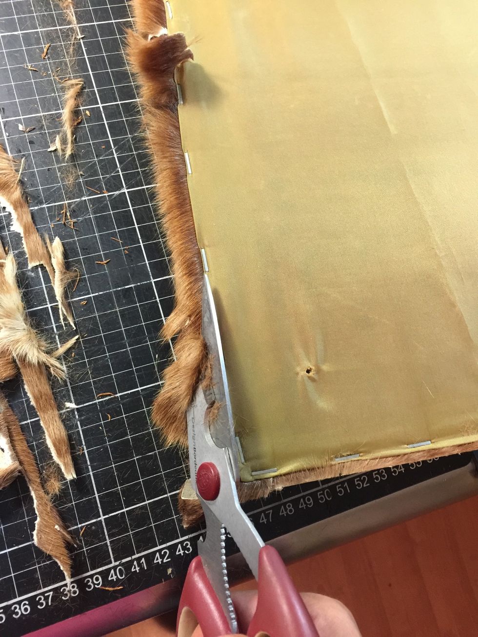 It had something furry