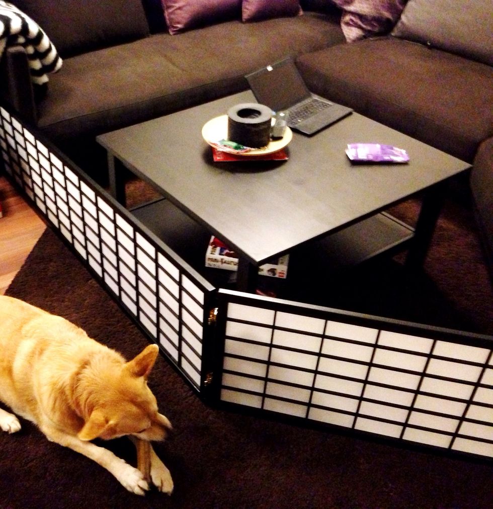 It is a line your dogs won't cross.