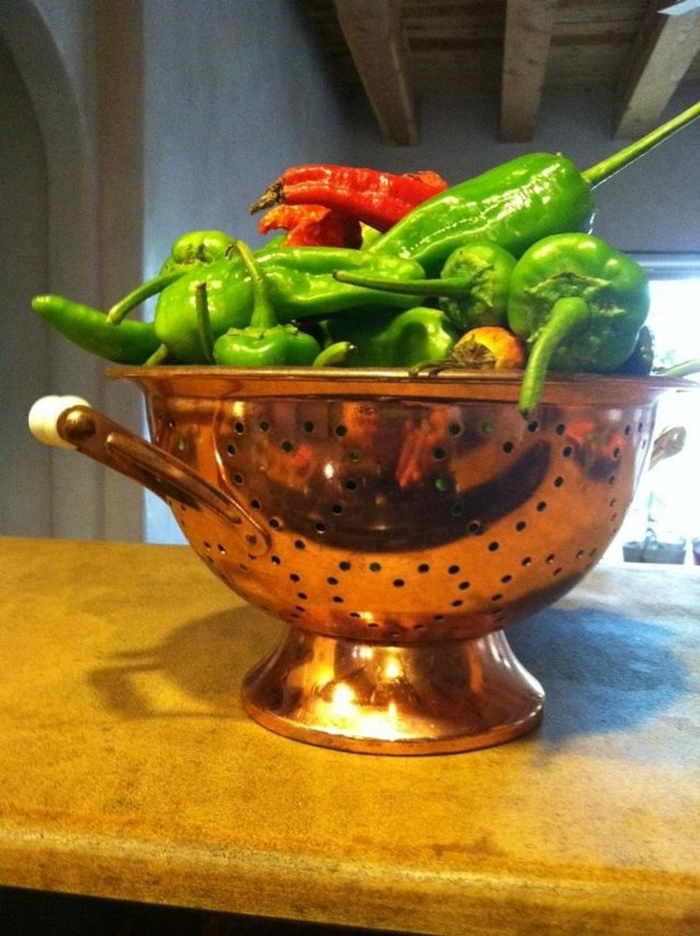 It is important to have the freshest chile possible. You'll want to roast your chile not long after you get it. I buy mine from a specific grower at my local farmers market.
