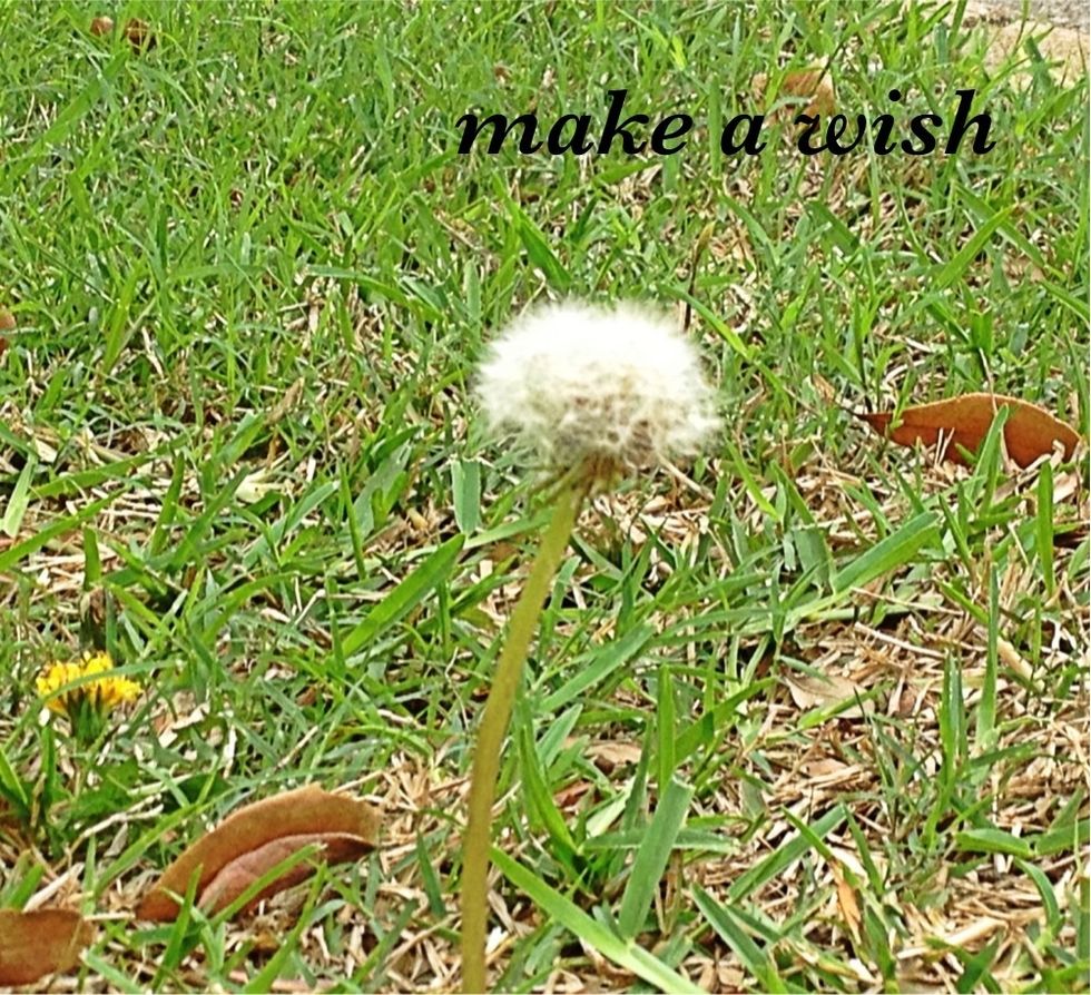 It is nice to add a quote or inspiring words that relates to the picture. I like to position my words in a corner but you can play around and experiment with it till it looks pretty.