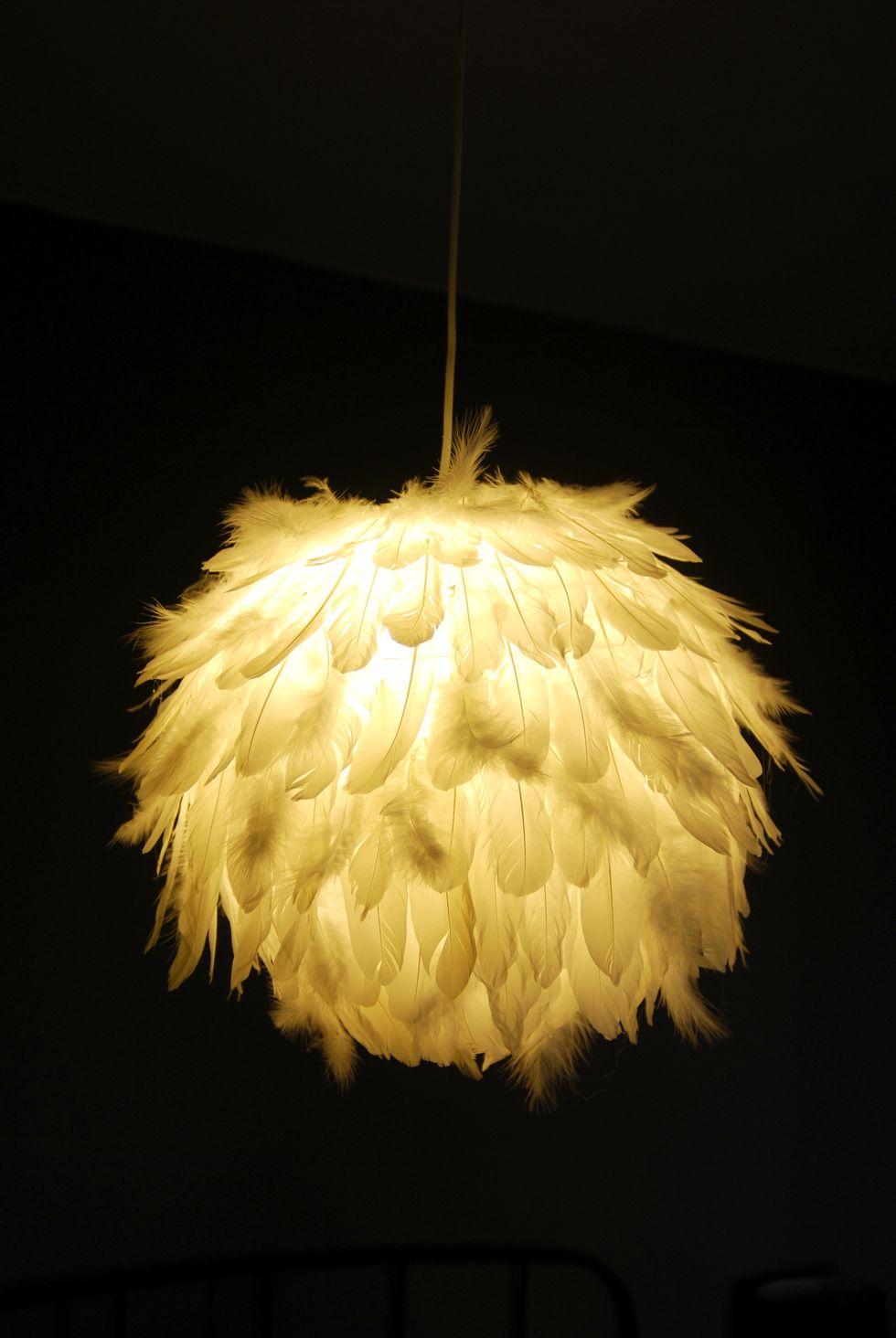 It is recommended to use a standard fluorescent lamp consumes little electricity, emits minimal heat is much cheaper and incandescent lamp.