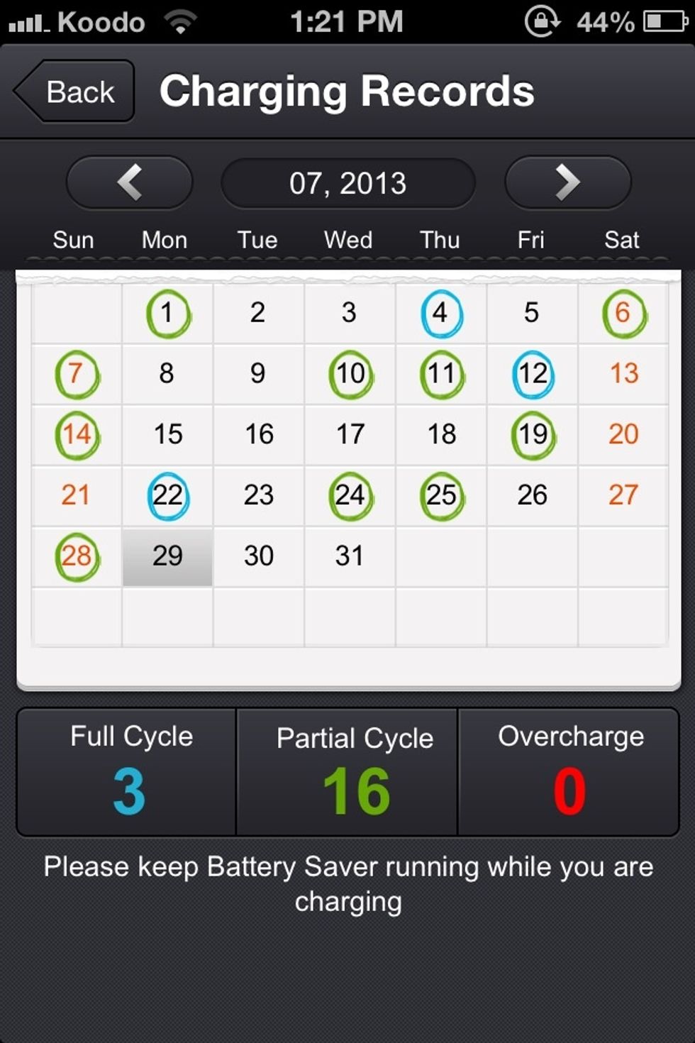 It keeps track of your charging records! Blue means a full cycle, and green means a partial cycle. A red circle would mean an over-charge! Thankfully I don't have any of those :)