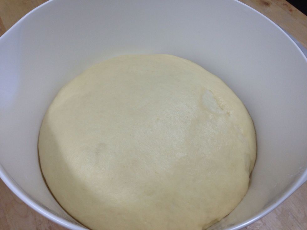 It needs one hour to become double in size