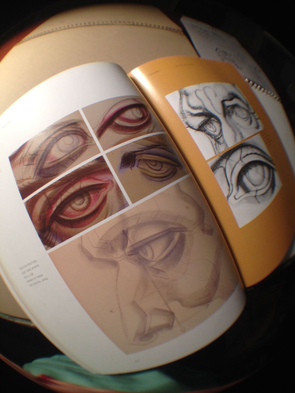 It's also nice to have a brief understanding of the anatomy of the eye and eye socket, brow bone, etc. Google some anatomy or check out "Dynamic Anatomy" by Burne Hogarth.