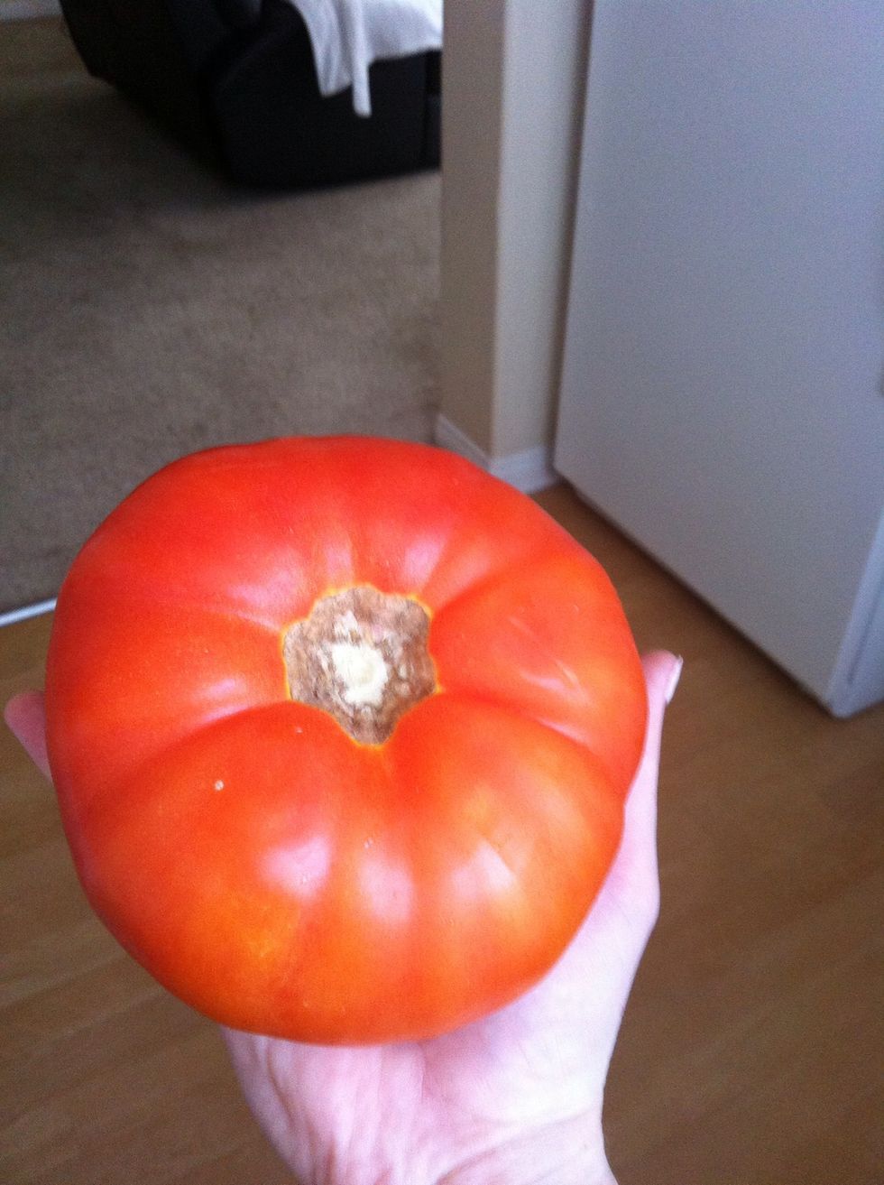 It's bigger than my hand!