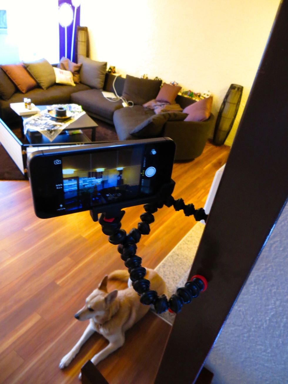It's great for getting a better angle than putting the iPhone on a table or some other low position.