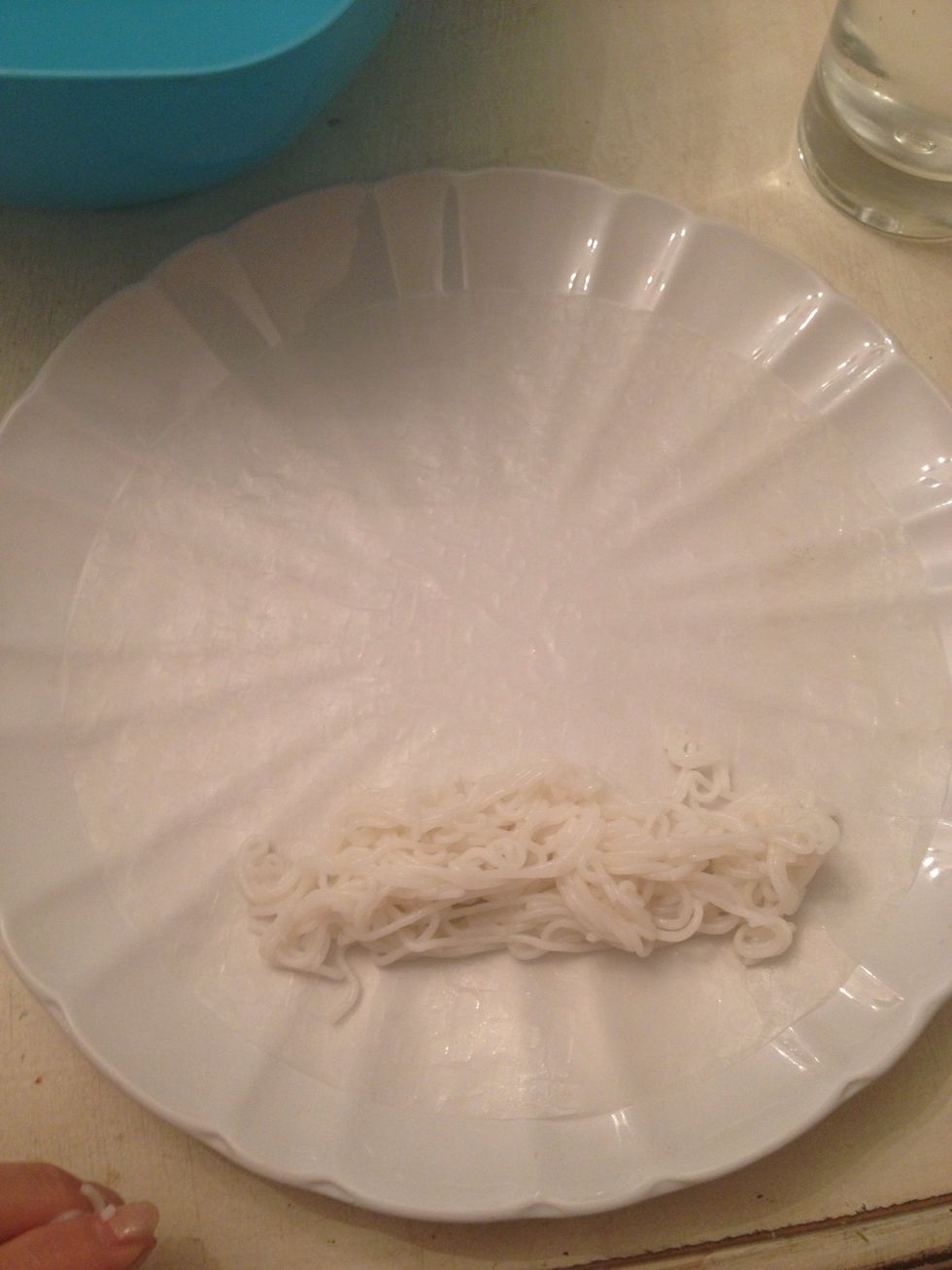 It's hard to see but on the plate already is our rice paper. Now add some noodle at the lower 1/3 of the circle.