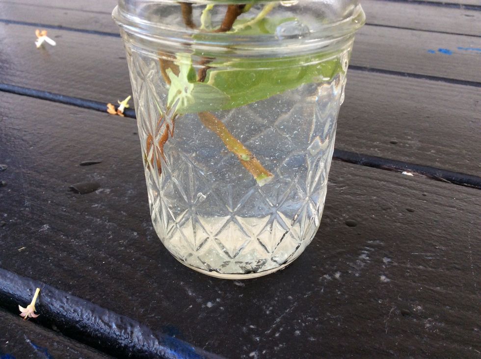 It's ok if there's white stuff it's the food