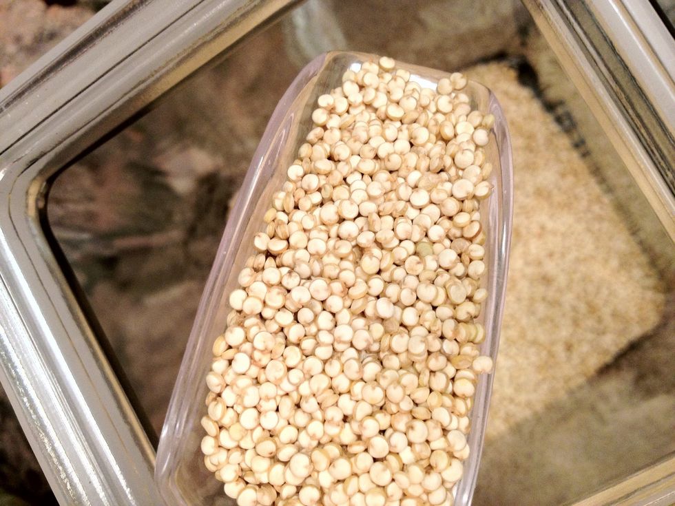 It's really a seed but acts like a grain packed with magnesium, fiber, complete protein, riboflavin, manganese, copper, zinc, potassium, iron and more. You are gonna love it.