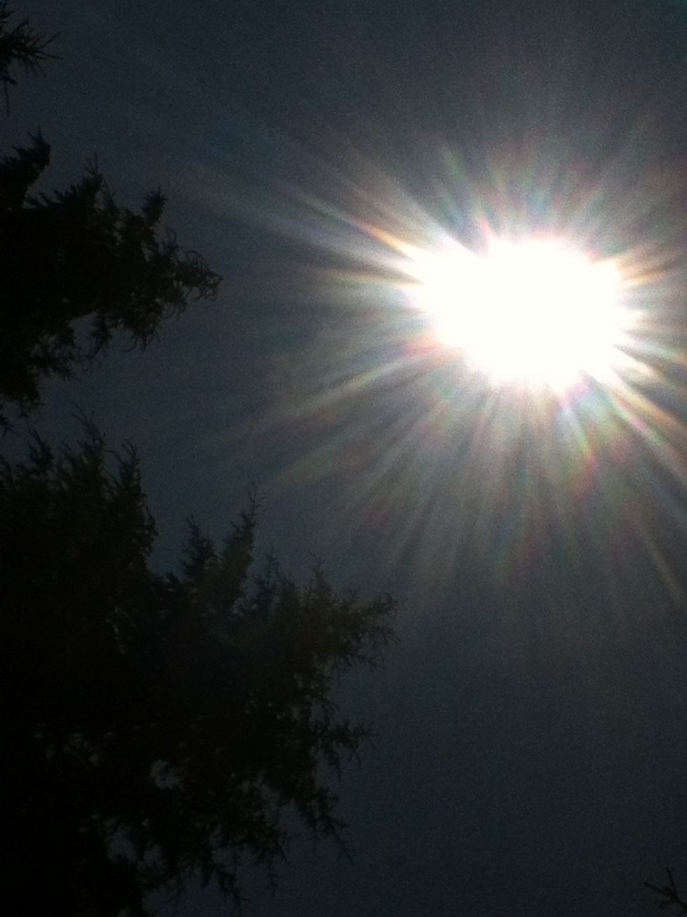 It's that time of the year again! Summer... And where I live there is A LOT of bugs! Mostly mosquitoes! And they are some pesky critters.