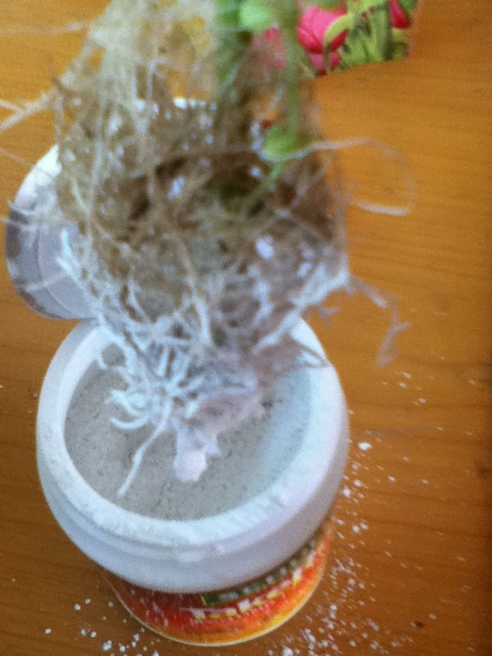 It says " just dip the root in & swirl it around in the powder. Tap off excess." I tried to tap it off. My plant made a piggie of himself! Won't let go! I may have created Apple Mint Godzilla!
