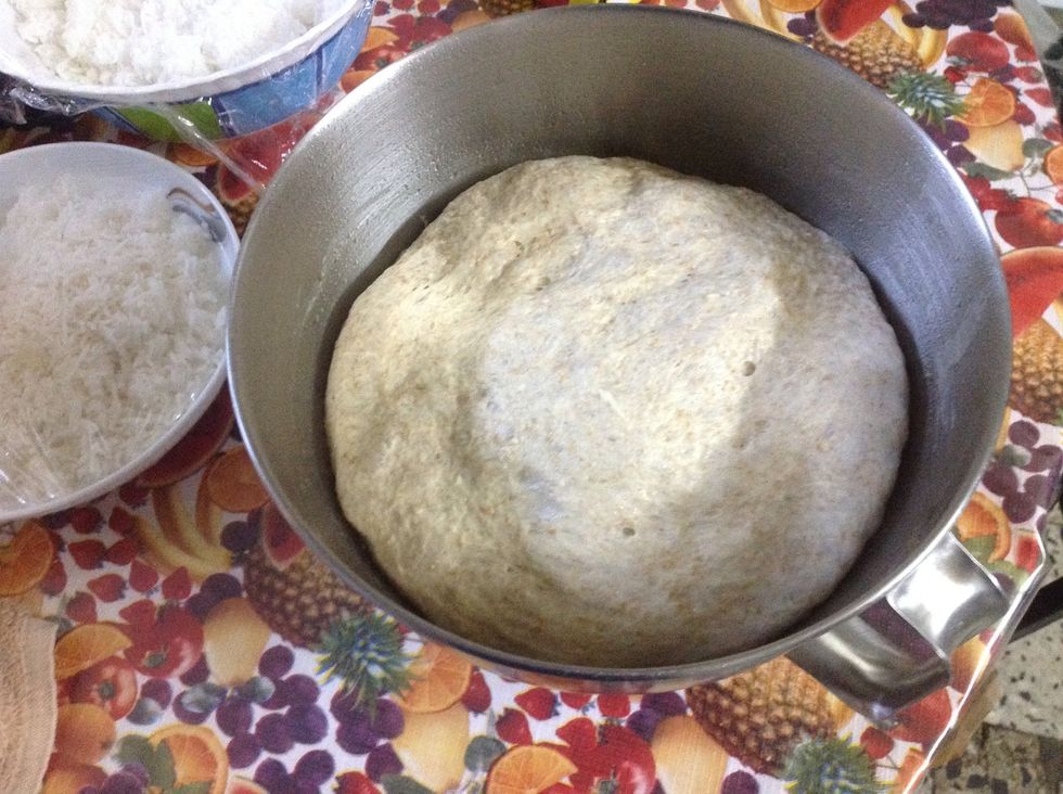 It should double or even triple in size after about 60-90 minutes.