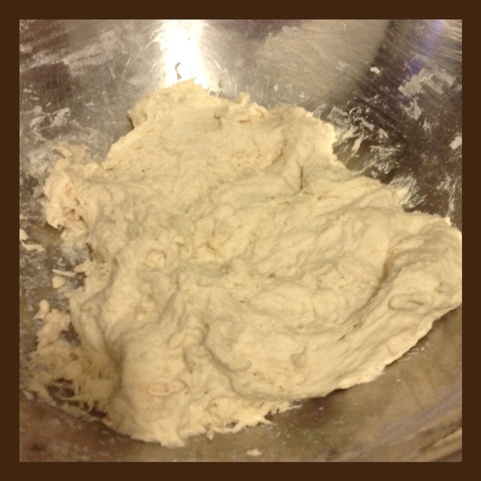 It should look like this. Cover with a cloth and let rise for 30 minutes.