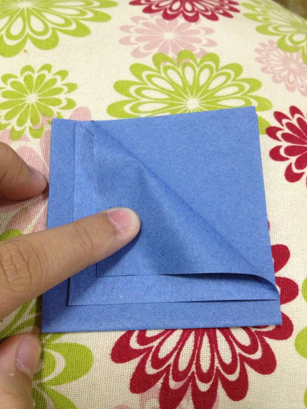 It should look like this. Then, fold the other layer.