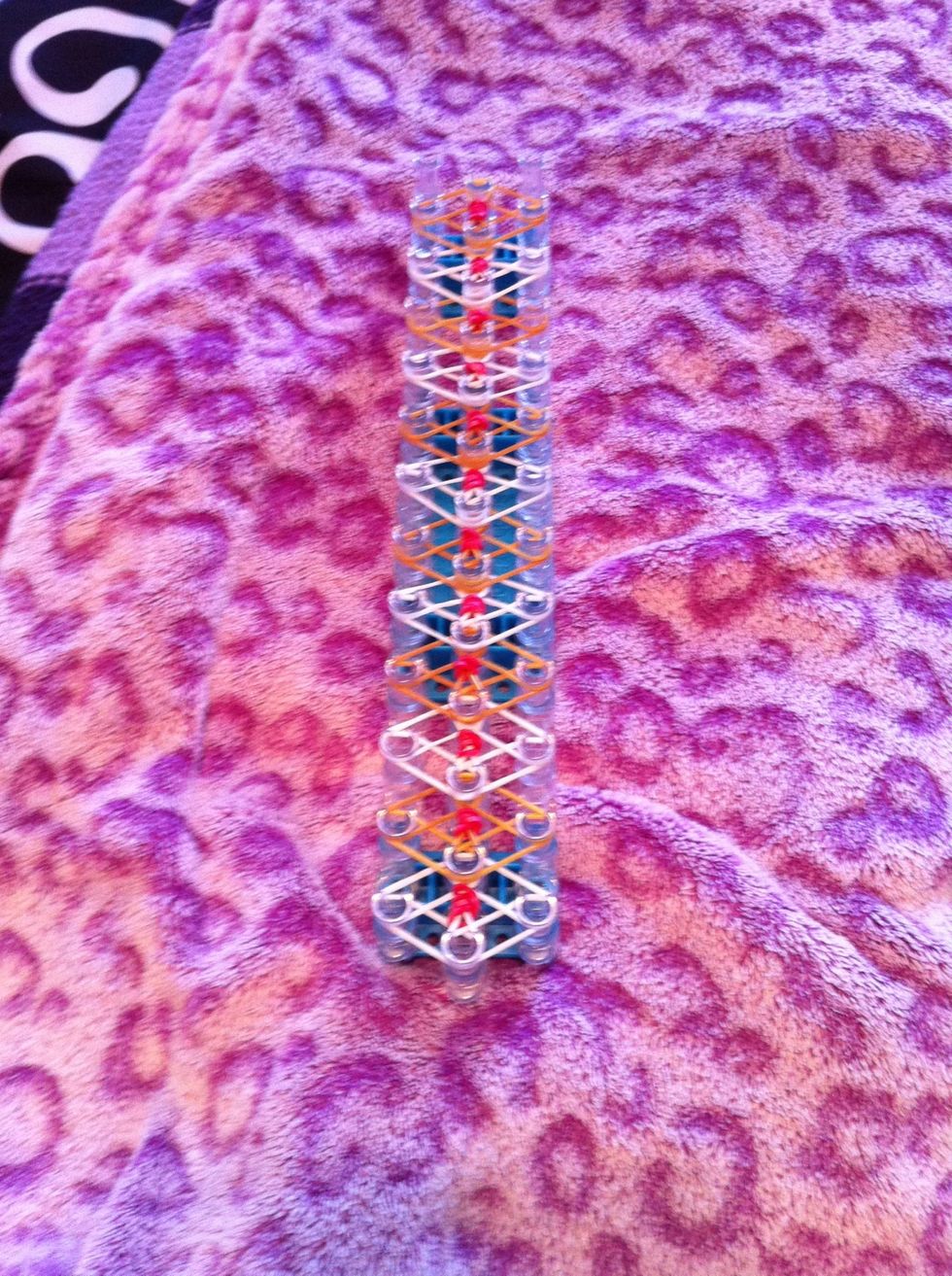 It should look like this when you are done placing the bands.