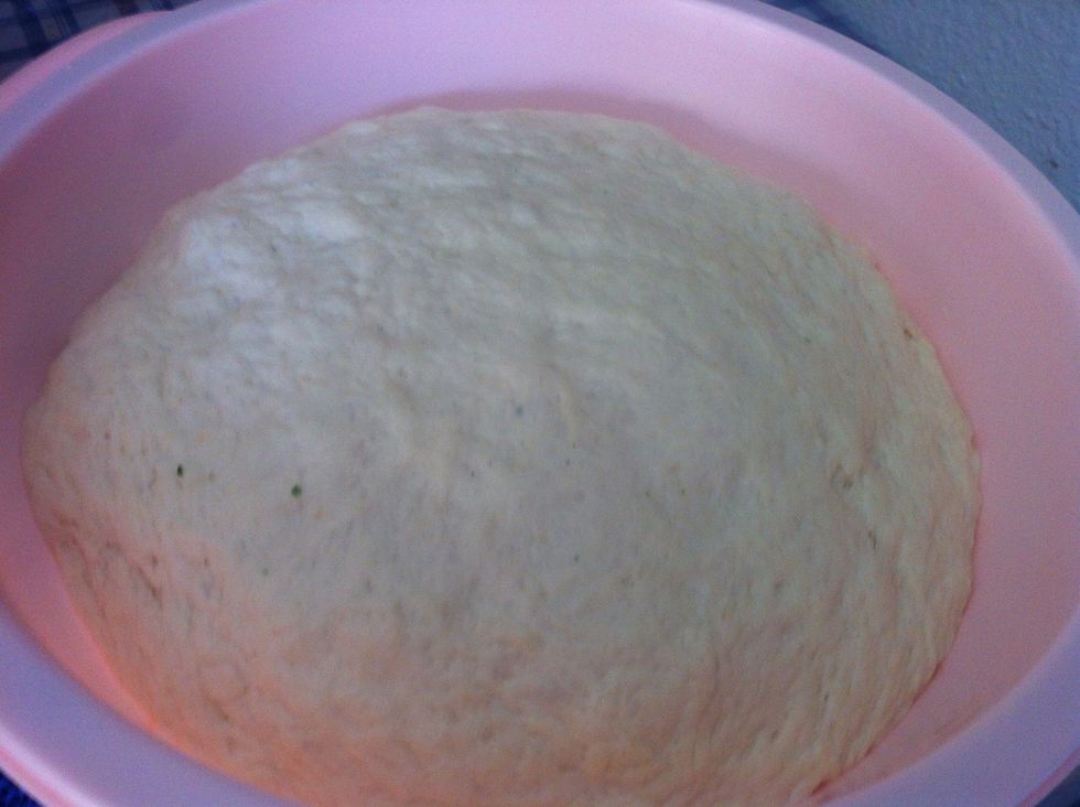 It will double size after resting.