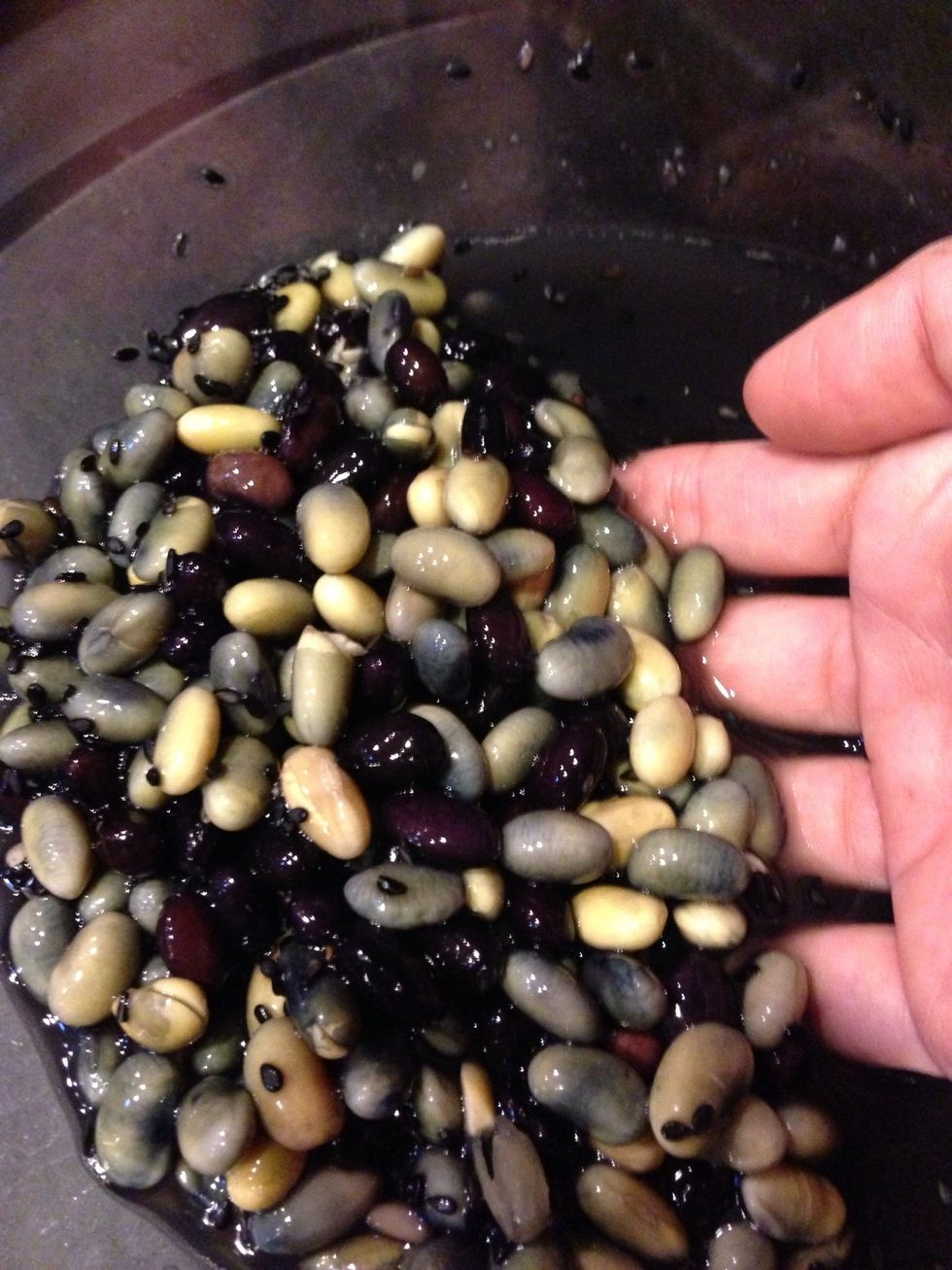 It will get big in the morning. Take up your bean mixture from soaking water.