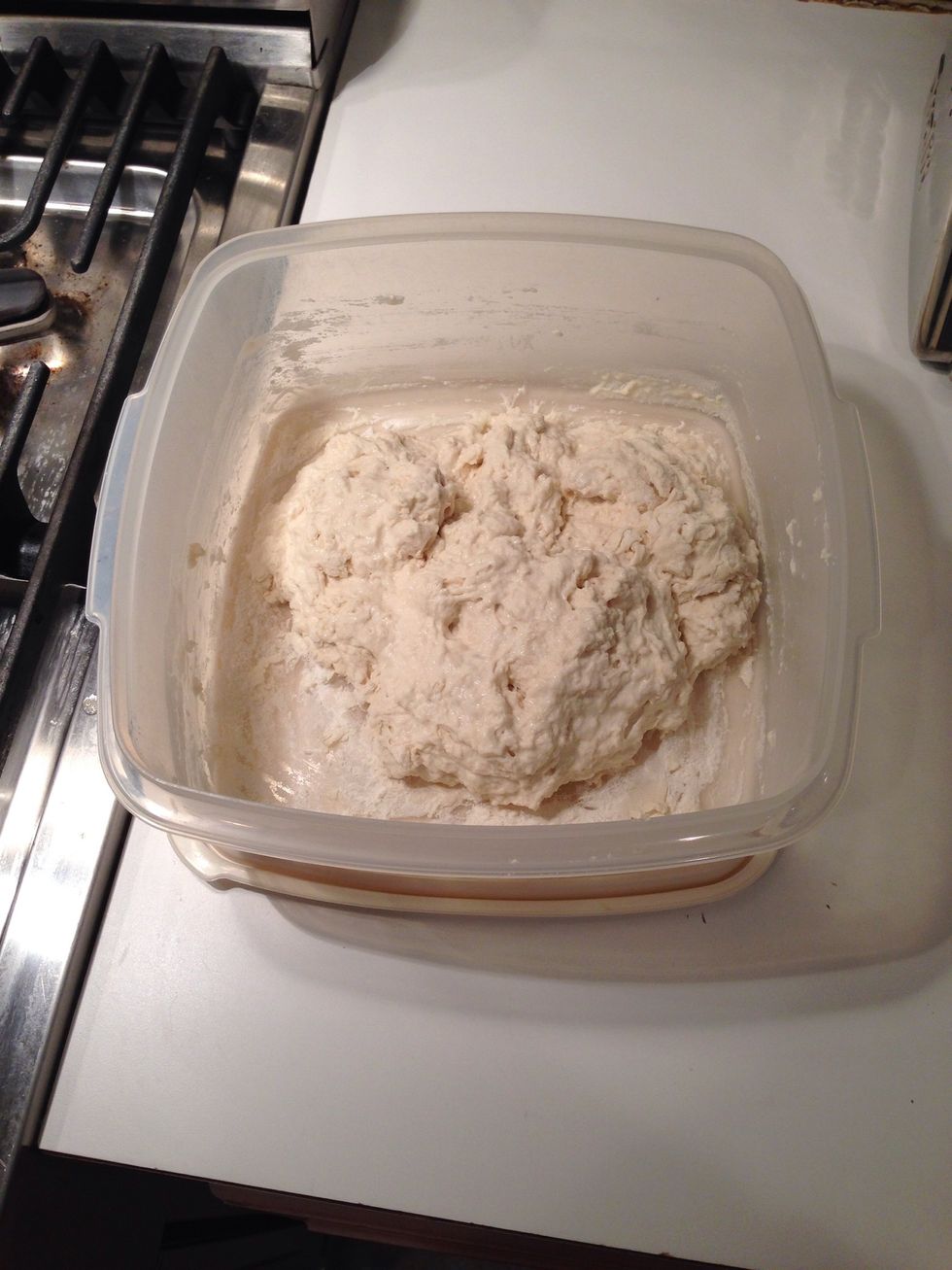 It will look like this. I probably should've mentioned that the sponge has to hang around your kitchen , covered , for 12 to 18 hours. Sorry, I hate when that happens.