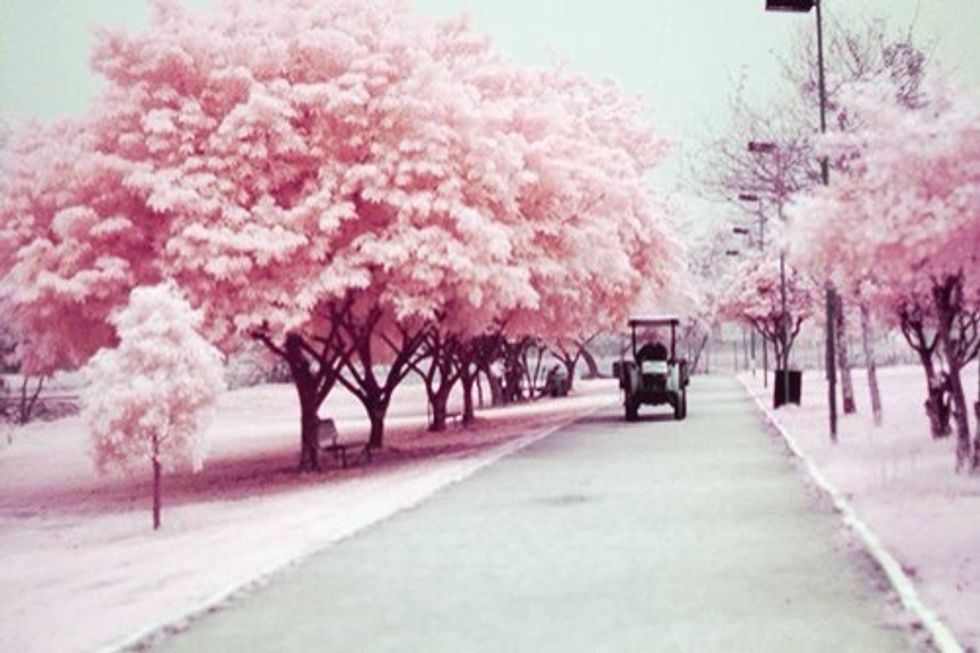 J'arrivd au lyc\u00e9e 8:25\ud83c\udfeb