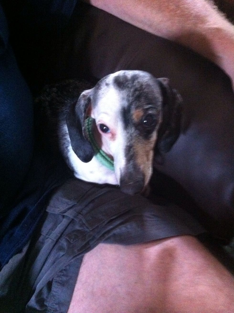 Jed says "always pin the pretty right sides together before stitching" ....beware the dark side