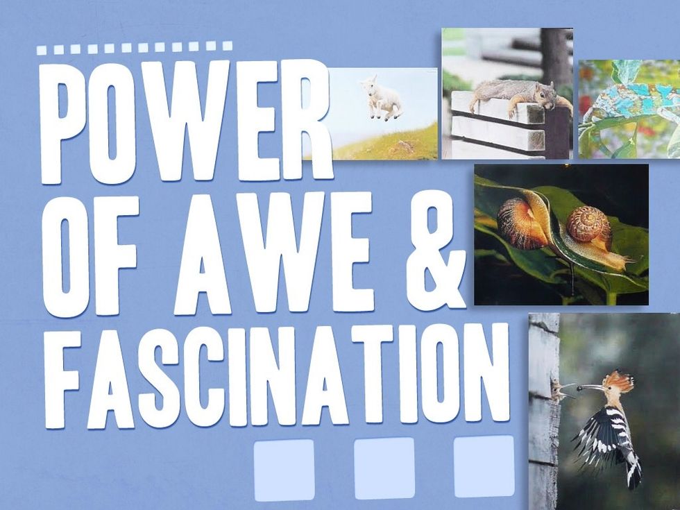 Join a Nearpod Session to exchange ideas with top educators and learn from their experiences. Stay tuned via #NPSessions on Twitter.