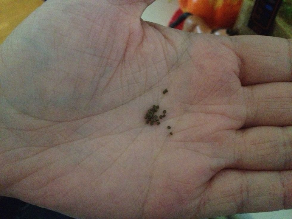 Just a pinch of the shrimp cuisine is all you need.