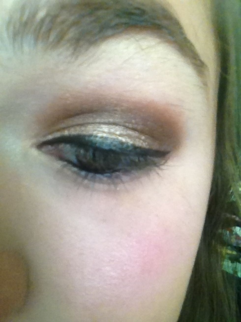 Just a simple line with a wing. I always do the cat eye look! I used Milani's Ultrafine liquid eyeliner in the shade Black Vinyl.