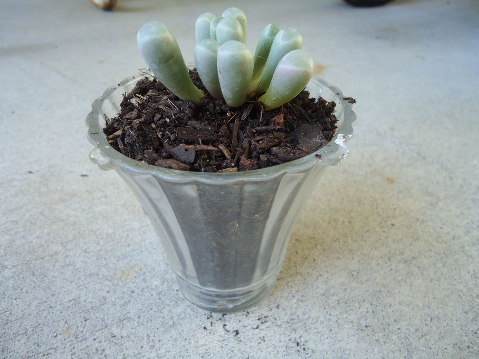 Just an alternative view from the previous step.