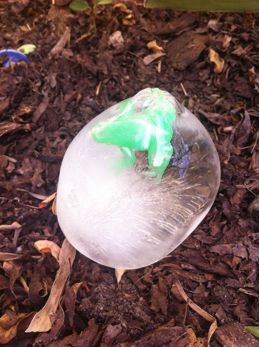 Just before the kids are ready to go on the egg hunt, run around & hide them around the garden. Playing in winter, I had a bucket of warm water ready to drop the found eggs into so they could thaw out