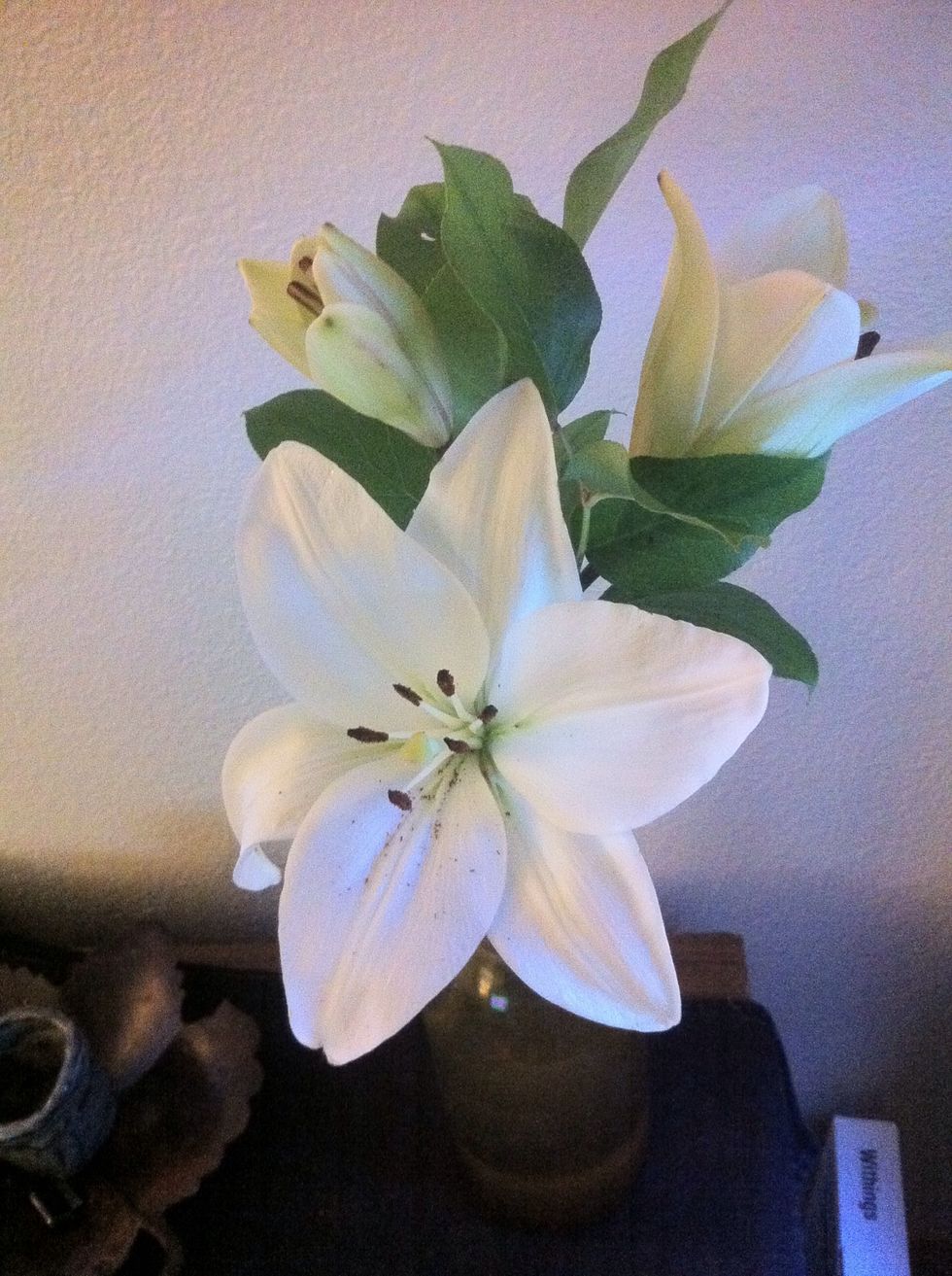 Just had to show you bloomed.\ud83d\ude0a