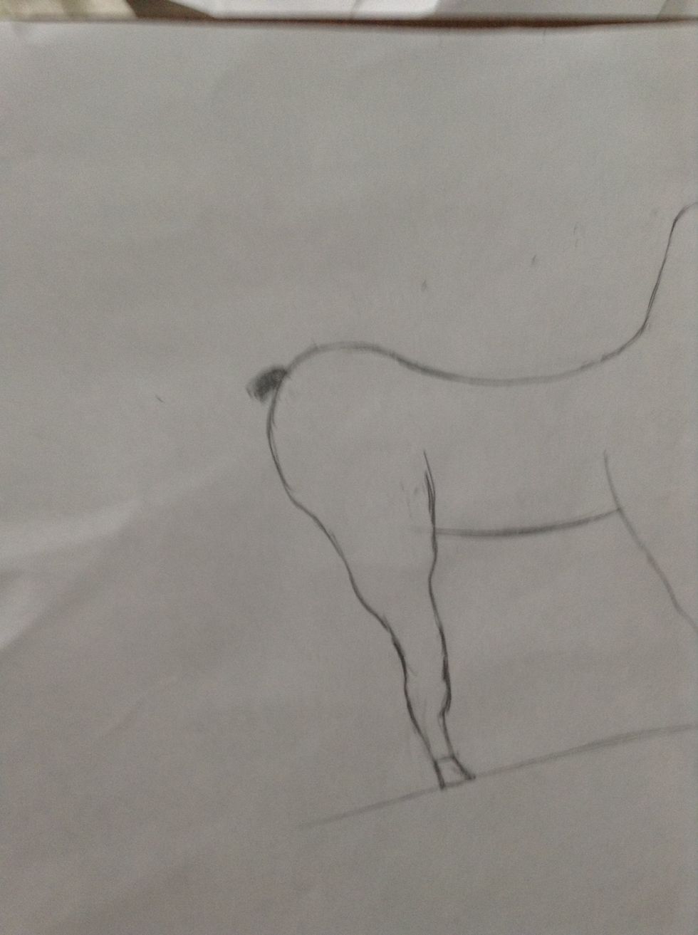 Just have the base of the tail as a guideline for the entire thing to start with