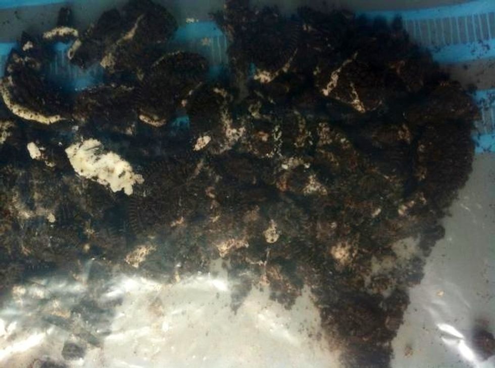 Just ruffly, crush them! Set aside