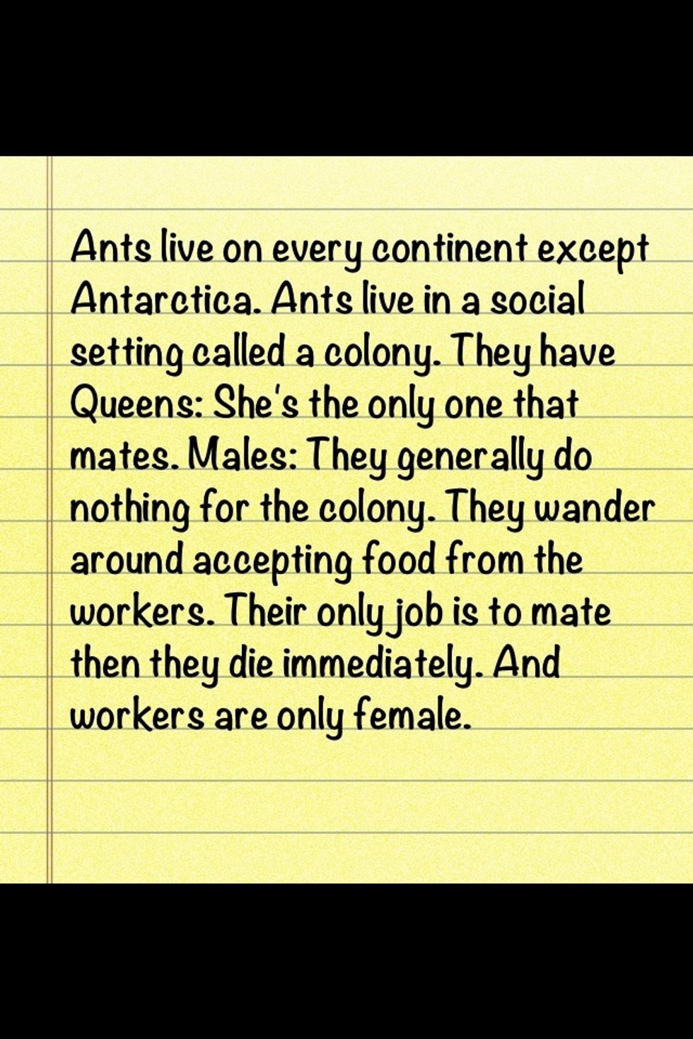 Just some interesting facts on Ants.