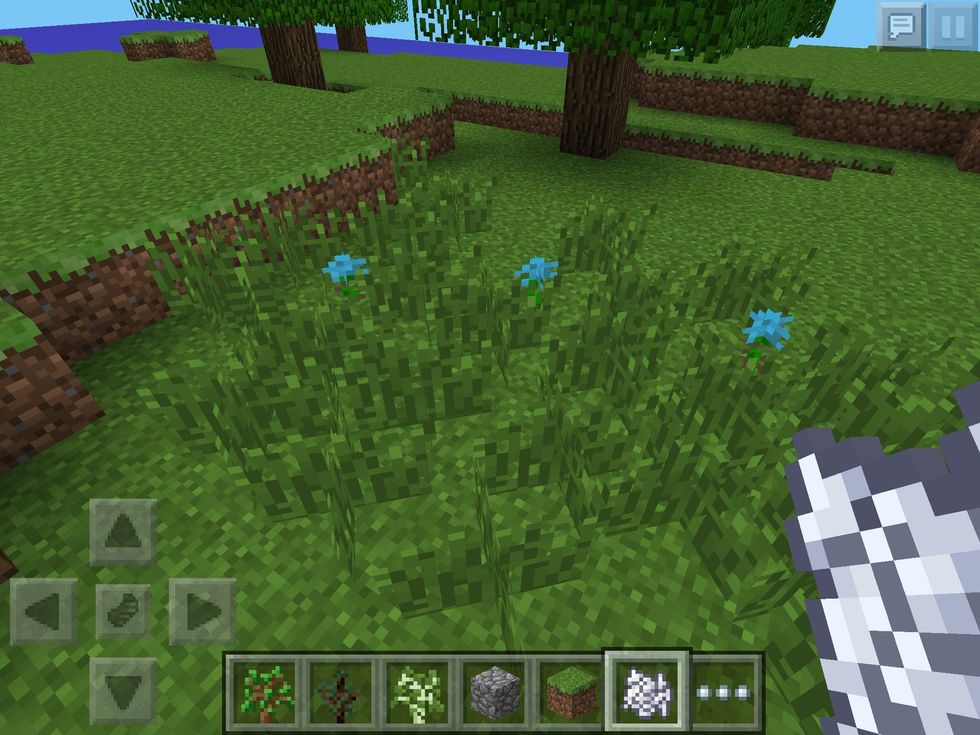 Just using bonemeal on plain grass can cause all sorts to grow!