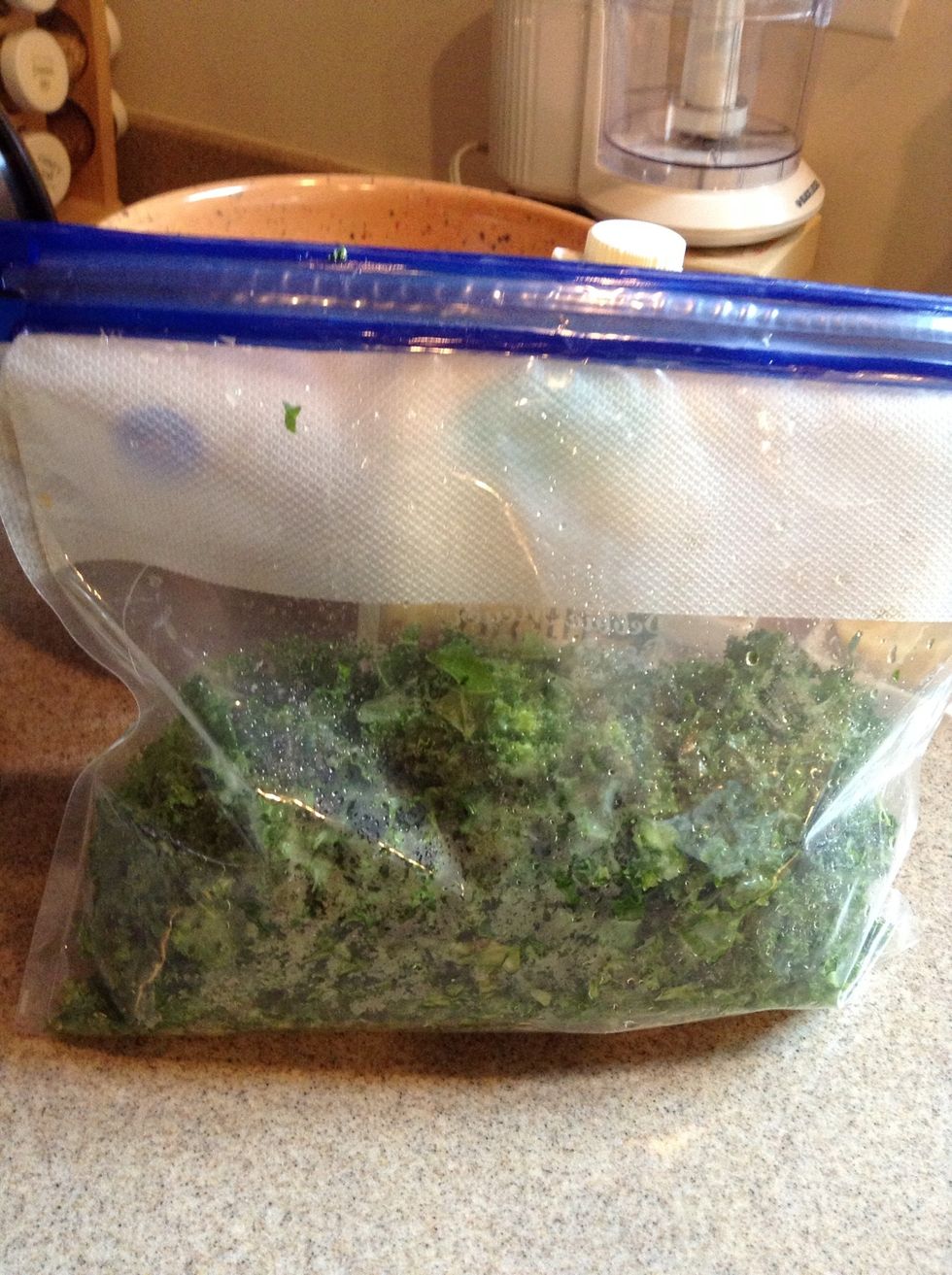 Kale that has been rinsed and chopped.