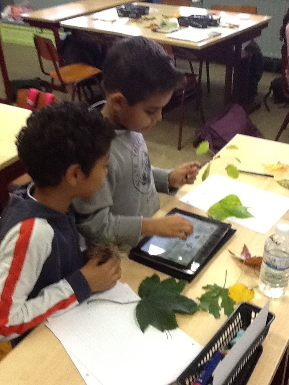 Kan ik dat groter maken