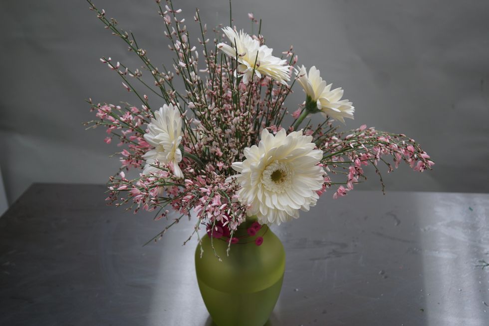 Keep filling in with ginestra until full.