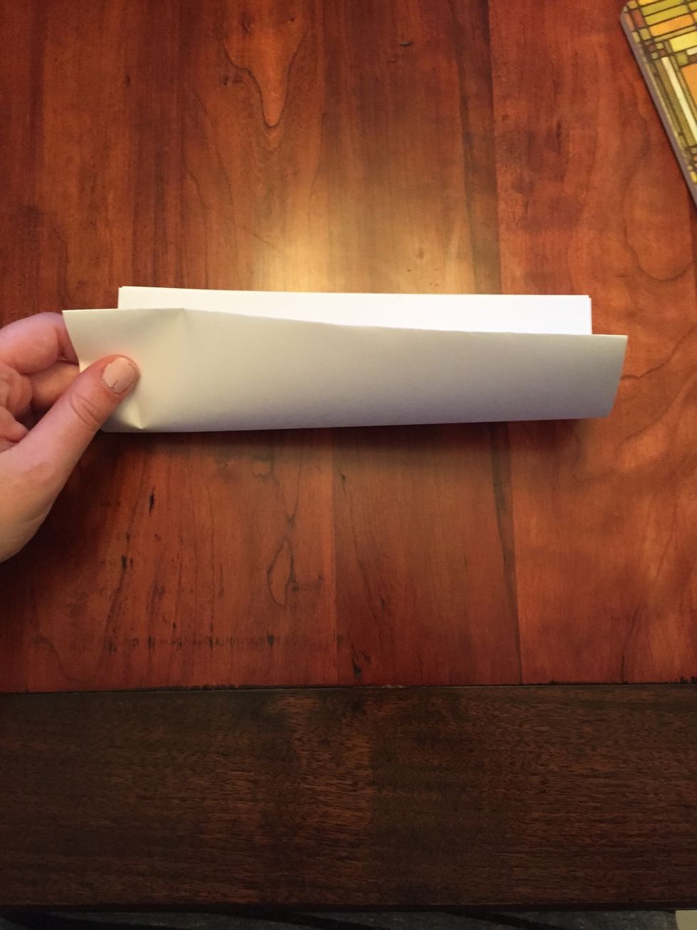 Keep it folded, and fold a second time in the same way.