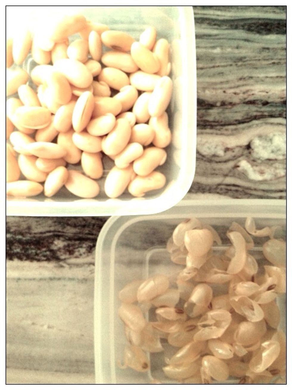 Keep the "cleaned" beans in seperate container before pouring the beans into a blender