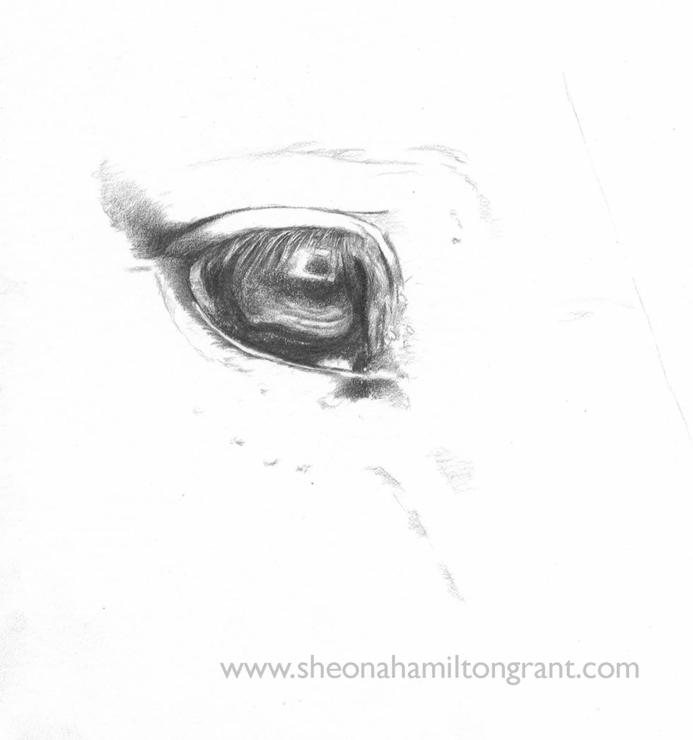 Keep working on the darks.