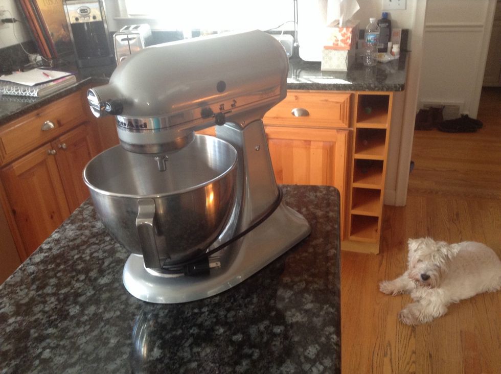 Kitchen Aid. Used to stir,knead and make dough. I can use a kitchen aid to make cake batter. (Do you like my dog?) (He's in the bottom right corner.)