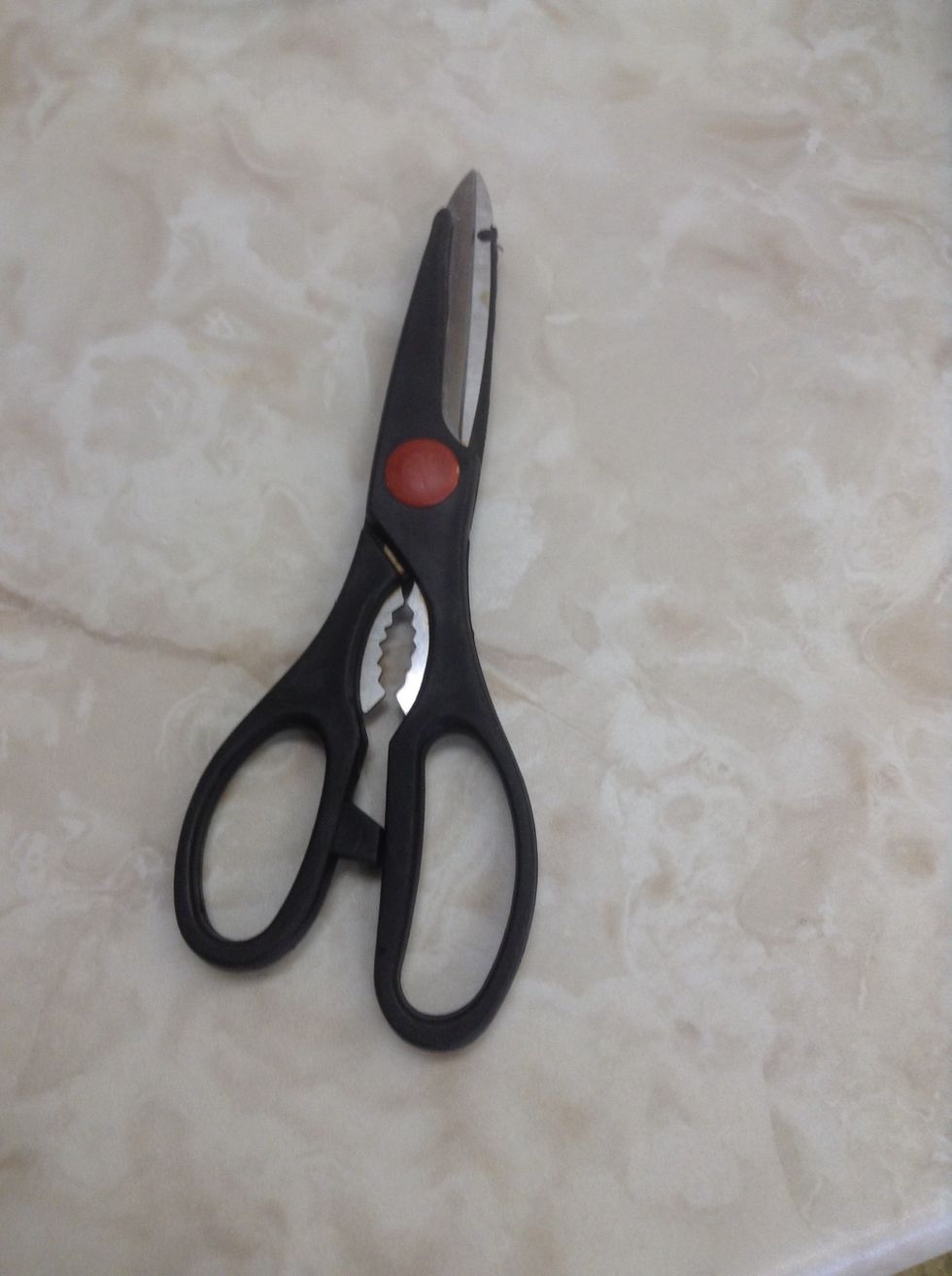 Kitchen Shears. Used for cutting. I can use these to cut a tomato vine.