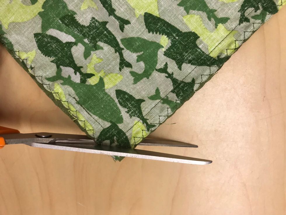 Klipp av h\u00f6rnen utan att klippa i raks\u00f6mmen.