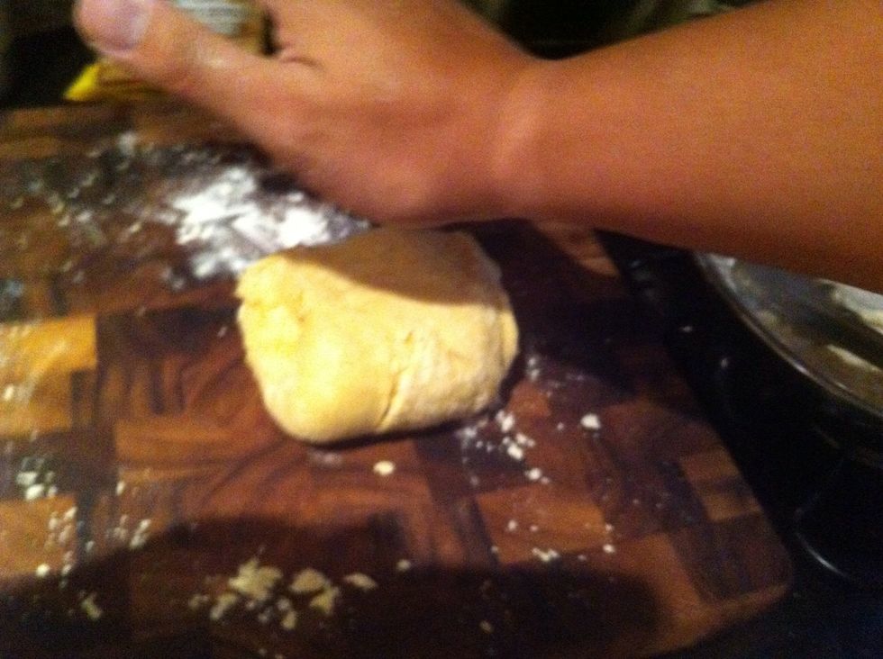 - knead gently in one direction dough until elastic