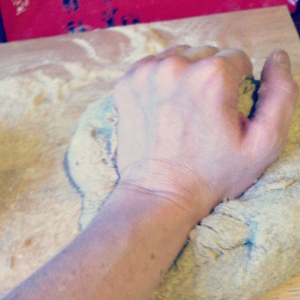 Knead lightly and only for a few minutes. Don't won't to real down all of those nice compounds your Yeasties have formed.