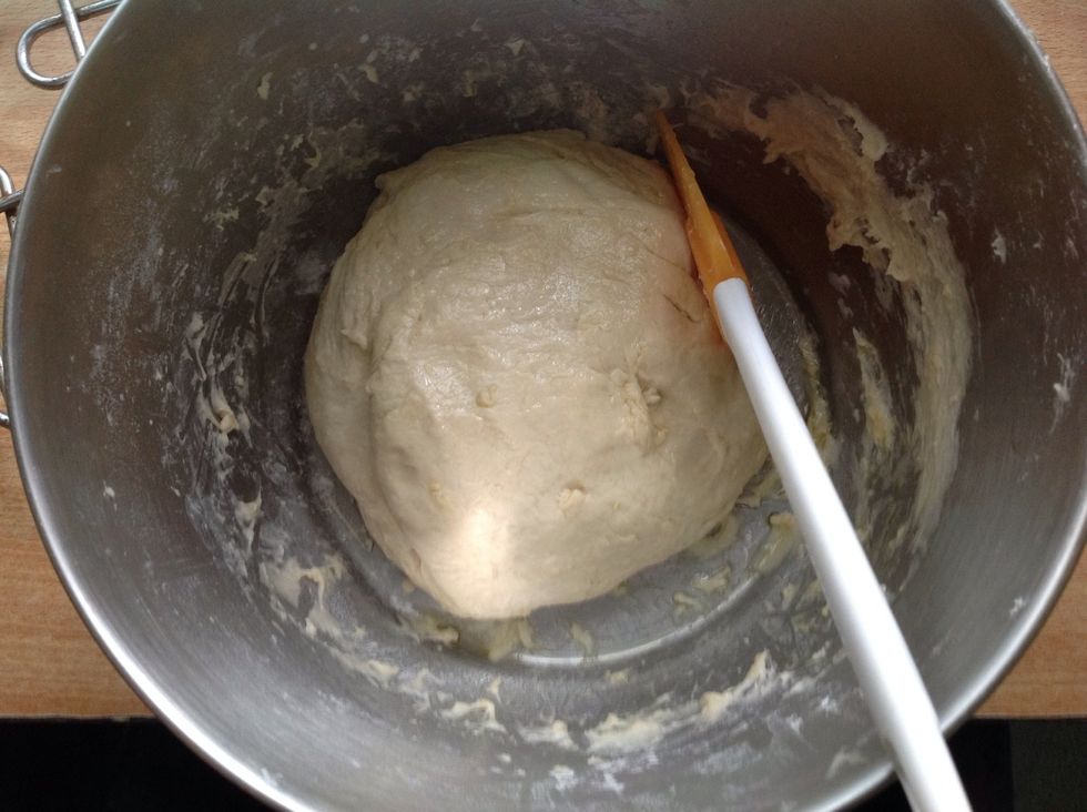 Knead well and cover dough ball with olive oil