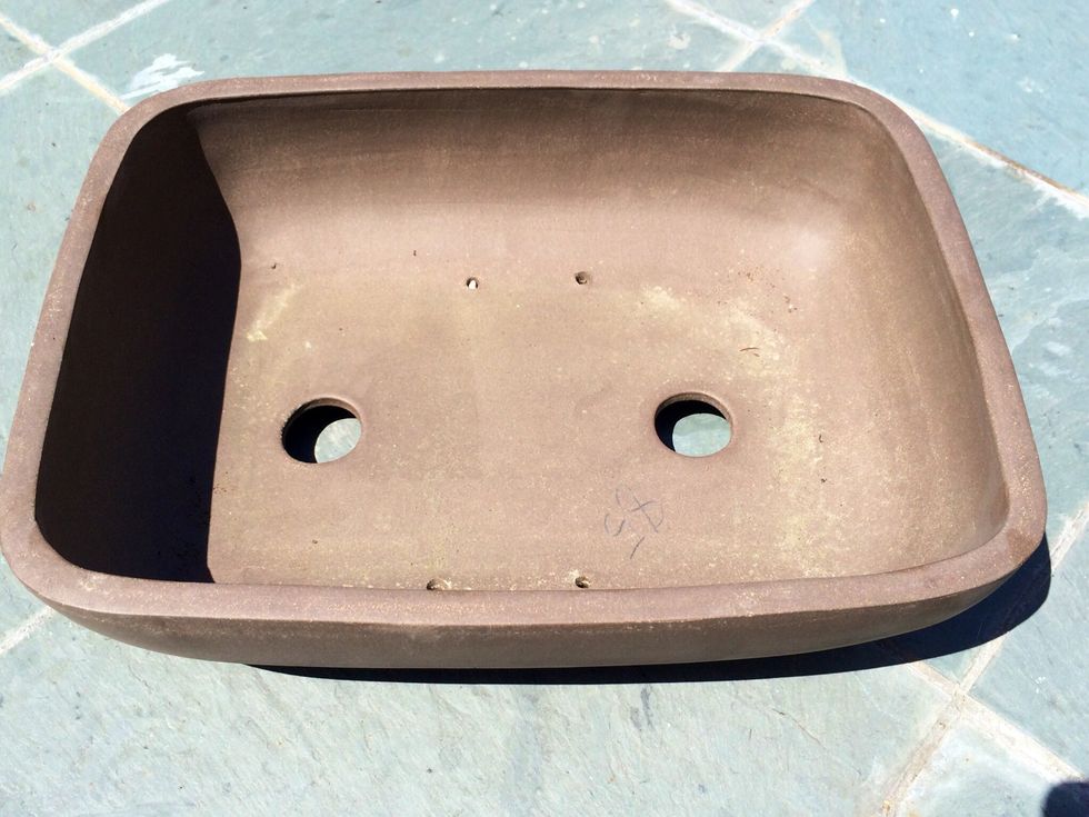 Knowing where I'd like the garden to go after my creation process helped me decide on the size of pot and selection of plants. When selecting your pot make sure it has water holes for drainage.