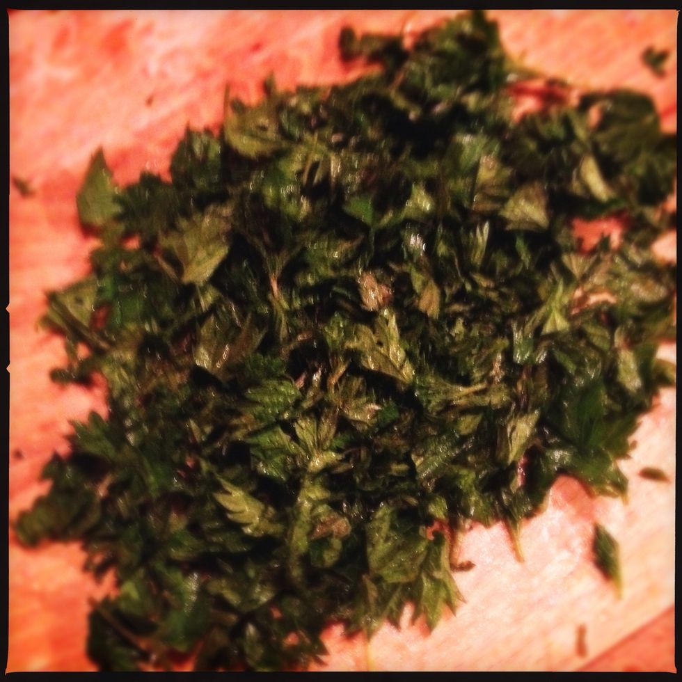 Kop\u0159ivy spa\u0159\u00edme, vybereme bord\u00fdlek a nahrubo posek\u00e1me.