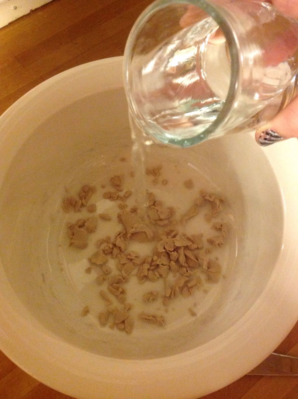 L\u00e4gg i lite ljummet vatten i sk\u00e5len. Put down some water.