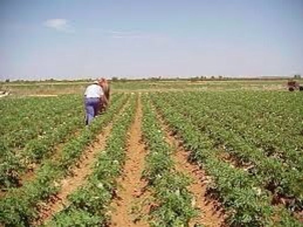 La agricultura en M\u00e9xico le da un impulso a la econom\u00eda.